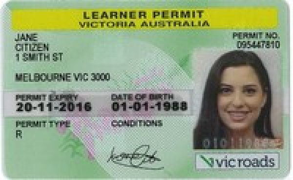 australian drivers license number generator